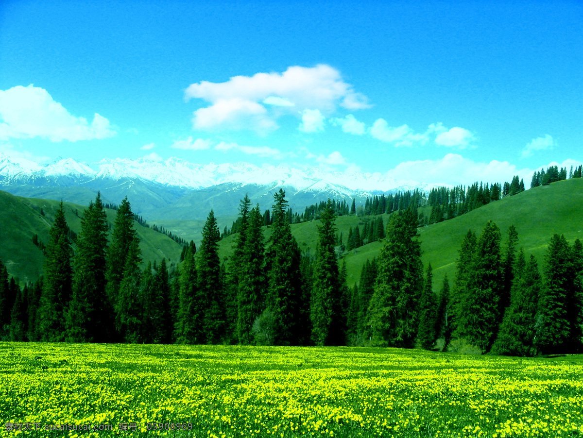 舒适 养眼 绿色草原 美景 绿色草地 草地 草场 大自然 青山绿水 山清水秀 美丽的大自然 森林 山林 美景摄影 自然景观 自然风景