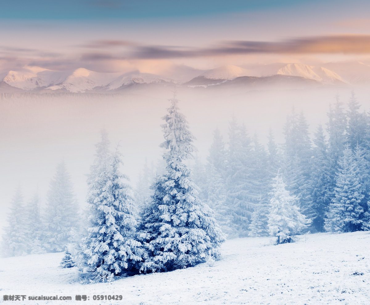 冬季 雪景 冬天 美丽风景 景色 美景 积雪 雪地 森林 树木 冬季景观 雪景图片 风景图片