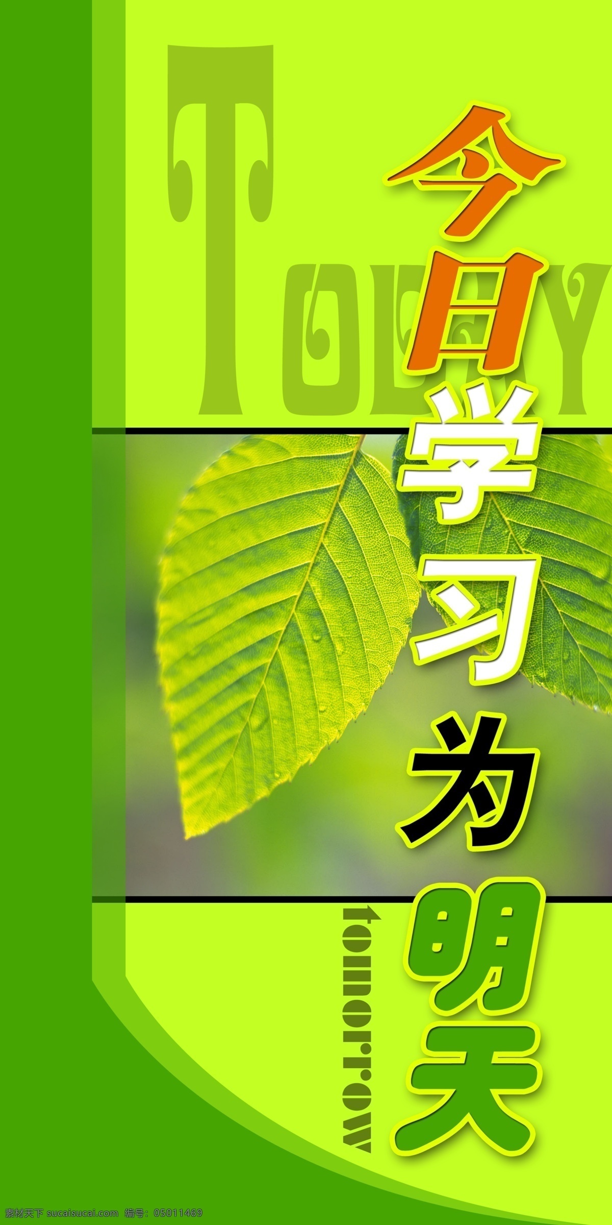 学校 标语 分层素材 广告设计模板 绿色 树叶 学校标语 源文件 展板模板 今日 学习 明天 psd源文件