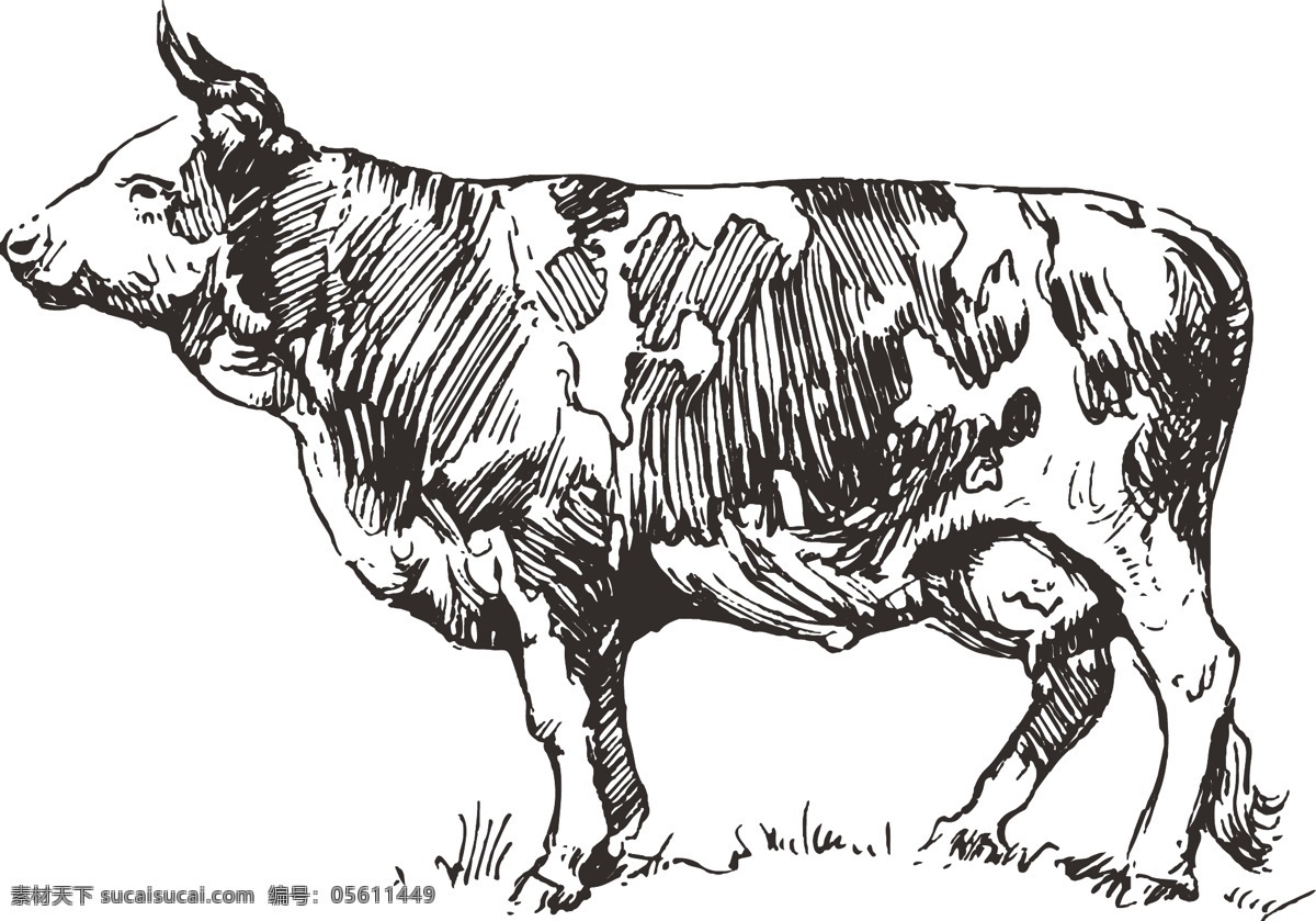 简易线条牛 牛 线条牛 简笔牛 卡通牛 素描牛 生物世界 家禽家畜