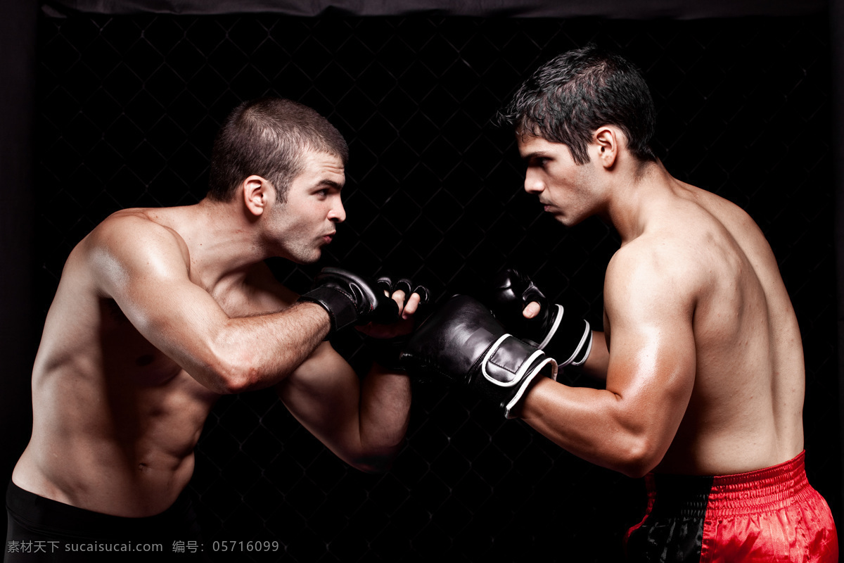 对峙 拳击 运动员 体育运动 人物 生活人物 人物图片
