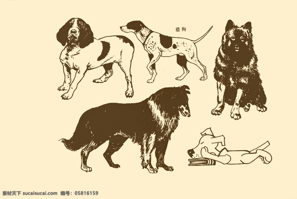 动物图案 狗 卡通 动物 纹样 图案 白描 简笔画 儿童画 分层 源文件