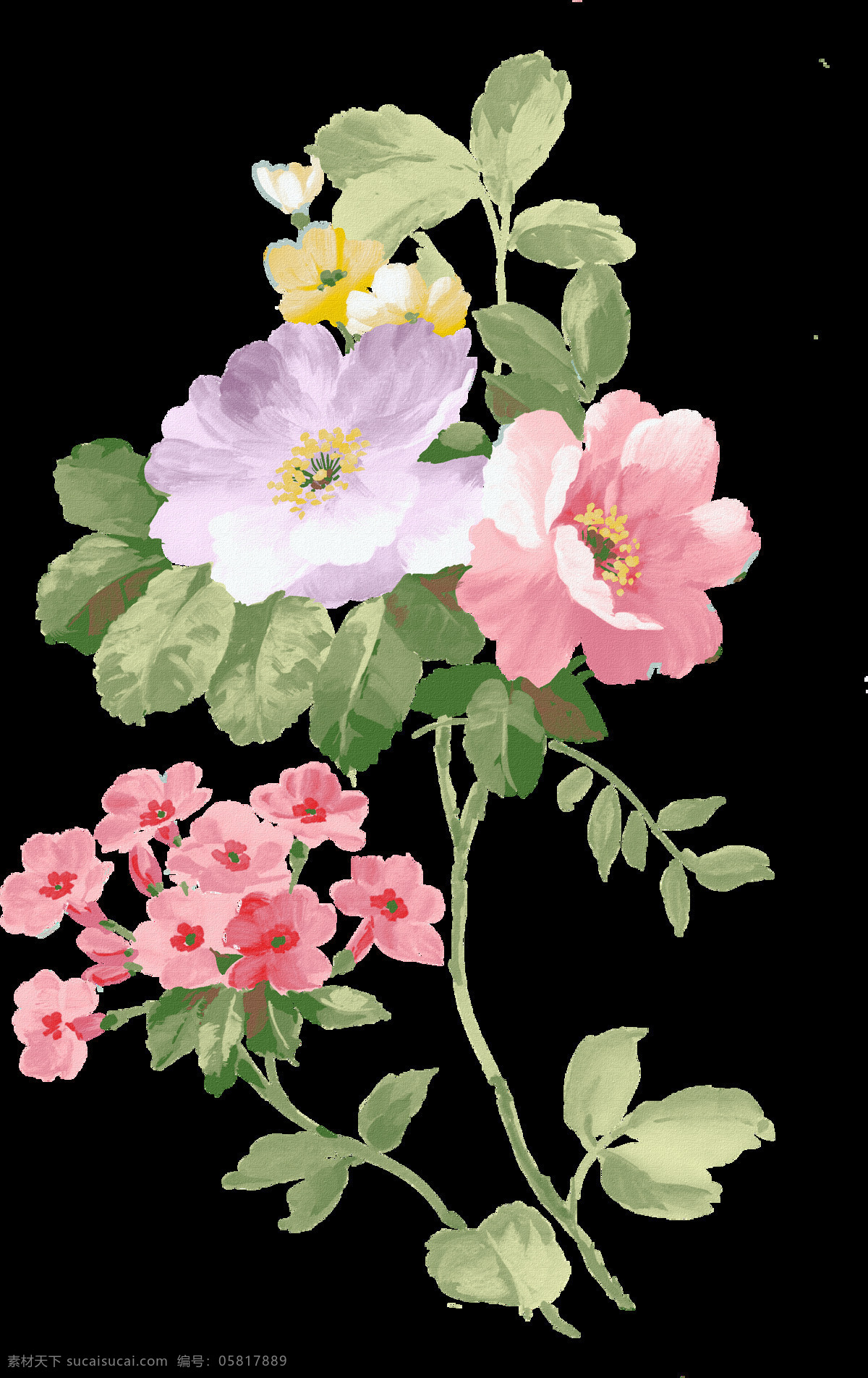 手绘花卉 手绘花朵 绿叶 复古花朵 花卉 静物花卉 绘画花朵 绘画书法 文化艺术 花朵素材