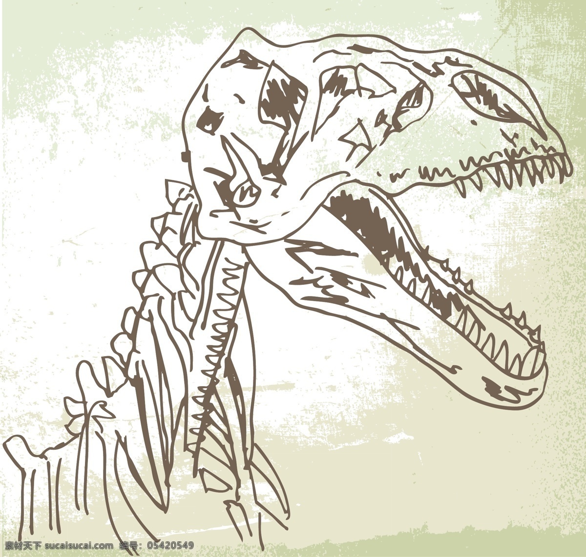 恐龙 化石 插画 矢量图 白色