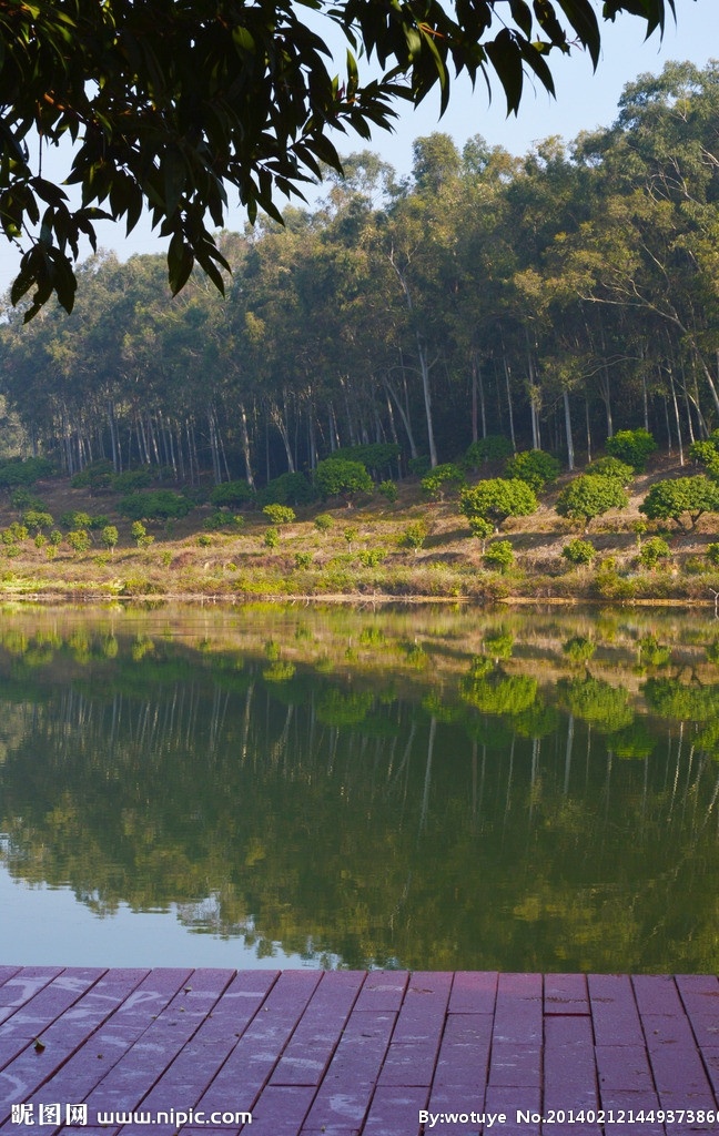 湖边 休闲 平台 青山 湖水 木地板 原生态 自然 户外 山水风景 自然景观