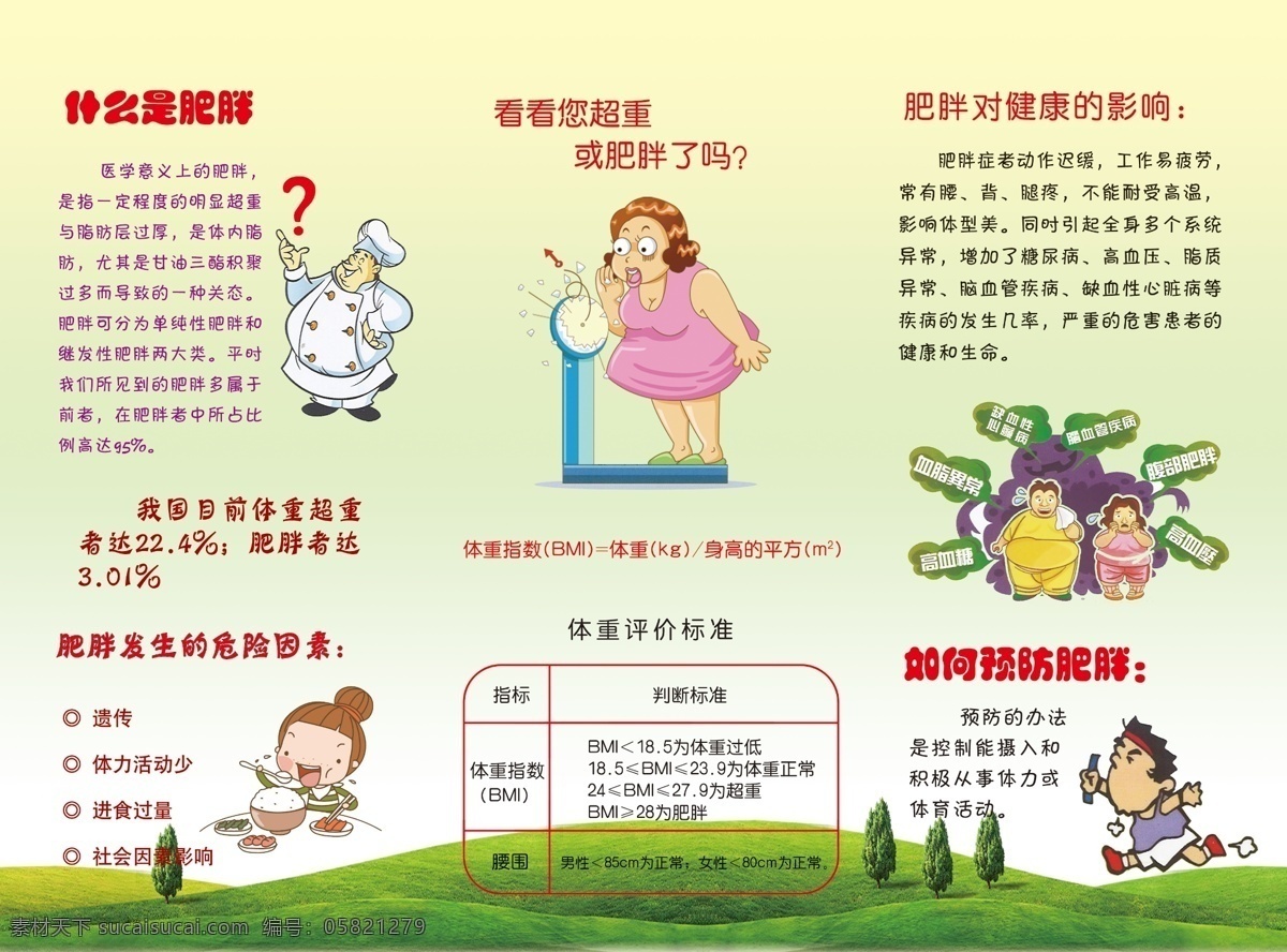 什么是肥胖 高血脂 癌症 健康教育 学校展板 肥胖的预防 慢性病的预防 健康饮食 分层