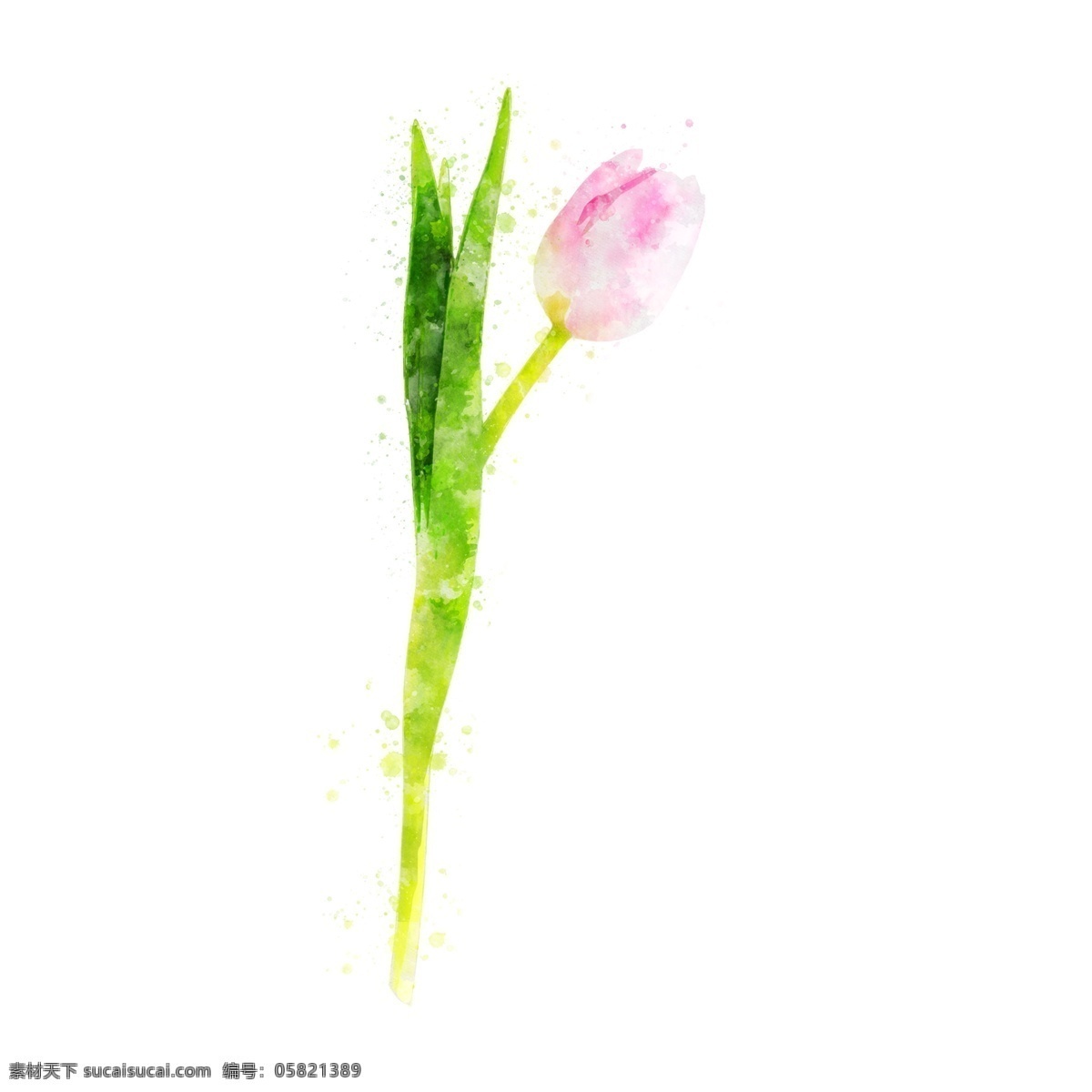 手绘 原创 水彩 粉色 清新 花卉 元素 植物 手绘元素 水彩元素 花卉元素