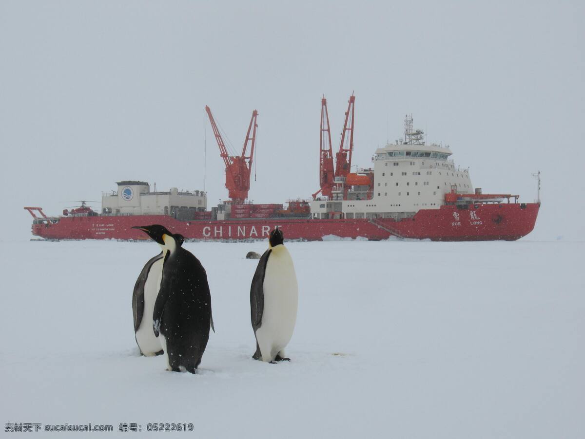 南极帝企鹅 南极 极地 海洋 雪龙号科考船 帝企鹅 生物世界 鸟类 摄影图库