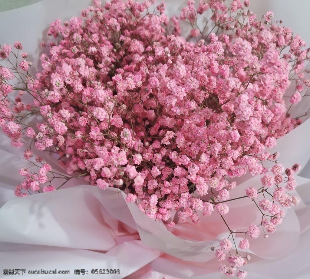 粉色 光影花卉 花卉特写 发光的满天星 一点玉