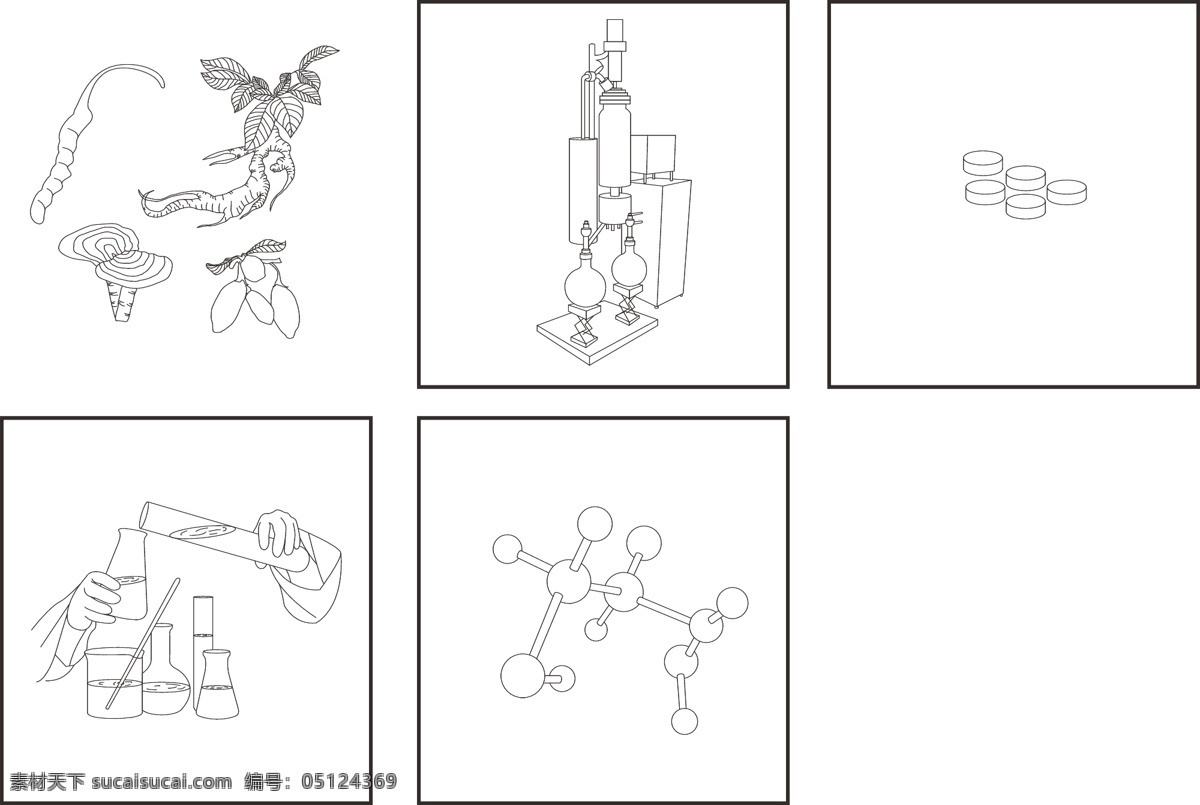 线 描图 虫草 节日素材 灵芝 人参 线描图 矢量 模板下载 分子结构图 其他节日