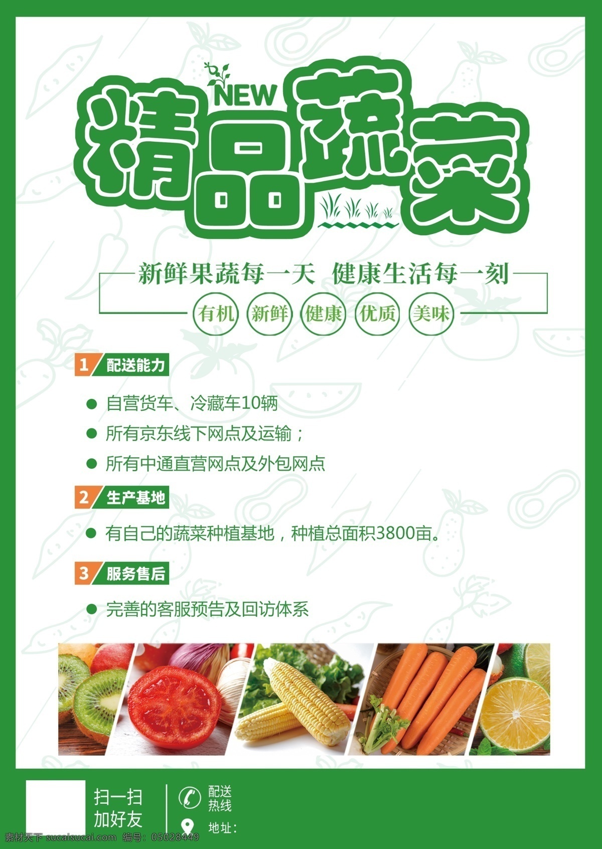 蔬菜配送 蔬菜 水果 外卖 配送 绿色 新鲜 海报 饮食 简约 时尚