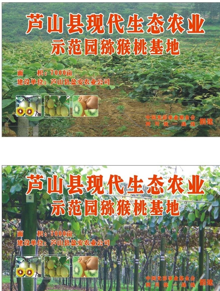 生态农业 猕猴桃基地 现代生态 农业示范园 芦山县