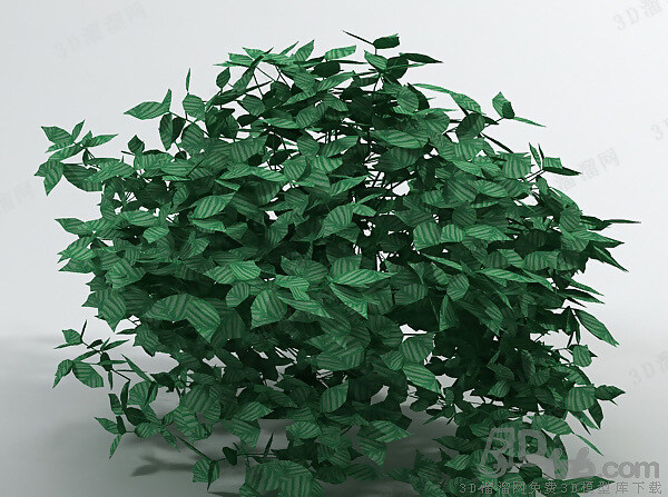 3d 灌木 模型 max9 室外 圆球 植物 有贴图 一垅 茂盛 常规叶 3d模型素材 家具模型
