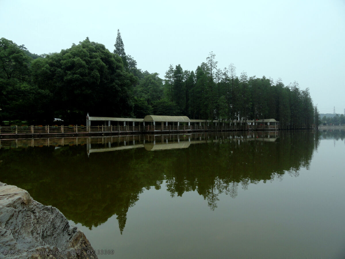 春天的气息 水中栈桥 倒影拍摄 湖南省植物园 陈传焕的作品 旅游摄影 自然风景