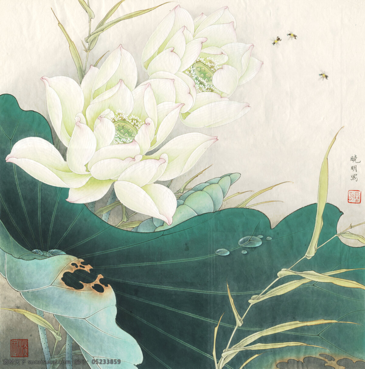 白荷亭亭 花鸟画 设计素材 花鸟画篇 中国画篇 书画美术 白色