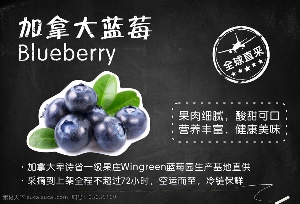 蓝莓图片 蓝莓 水果 进口水果 水果海报 水果介绍