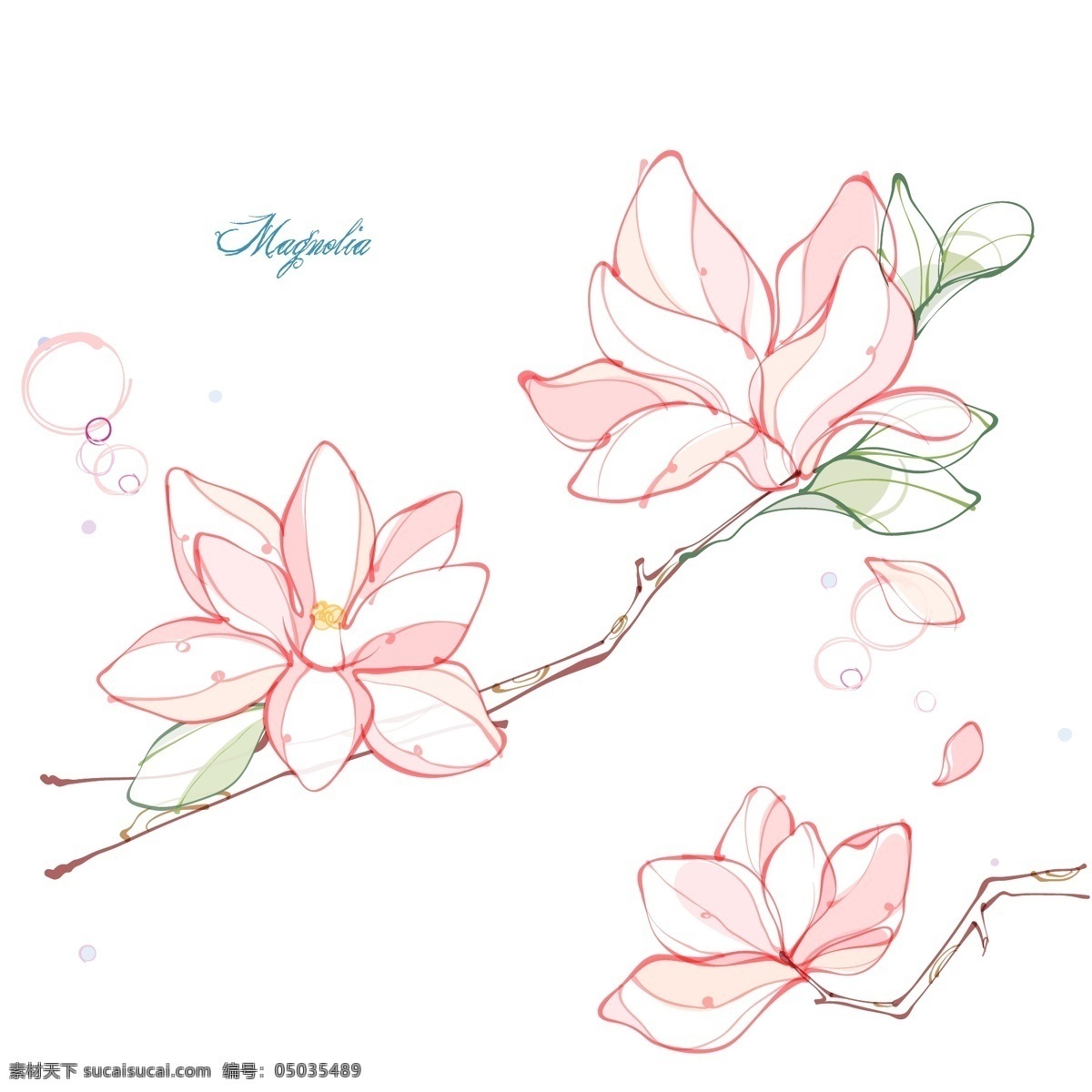淡雅花卉矢量 淡雅花卉 植物花卉 线描花卉 简洁花卉 矢量素材 白色