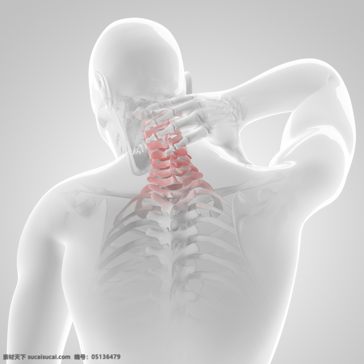 人体 劲 椎 x 光 透视图 x光 图像 医疗主题 劲椎 医疗护理 现代科技