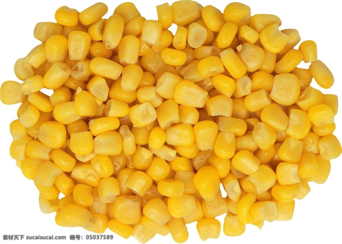 玉米粒图片 玉米粒 免扣 黄玉米 糯玉米 水果玉米