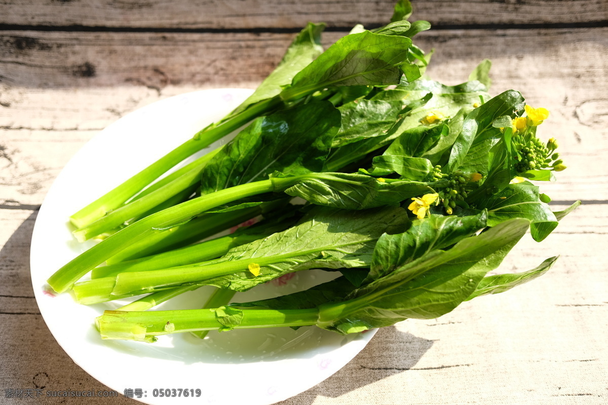 菜心图片 青菜 蔬菜 菜花 菜苔 菜薹 生活百科 生活素材