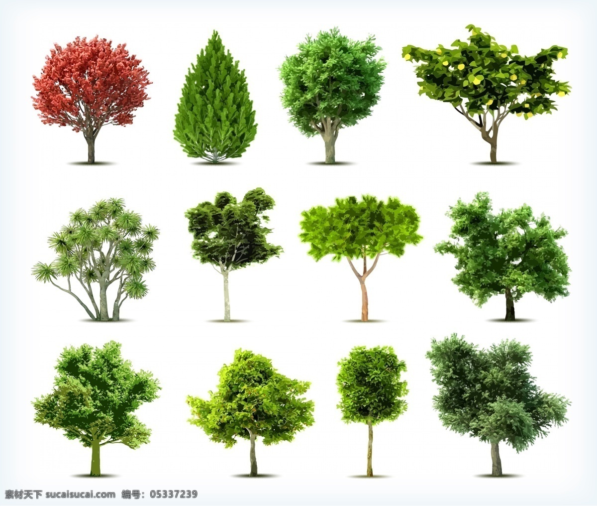 园林 树木 绿树 矢量 植物主题 树木树叶 生物世界