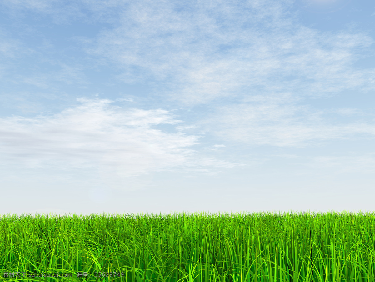 清新 蓝天 草丛 高清 风光 风景 高清图片 天空 绿色系列 帝国时代