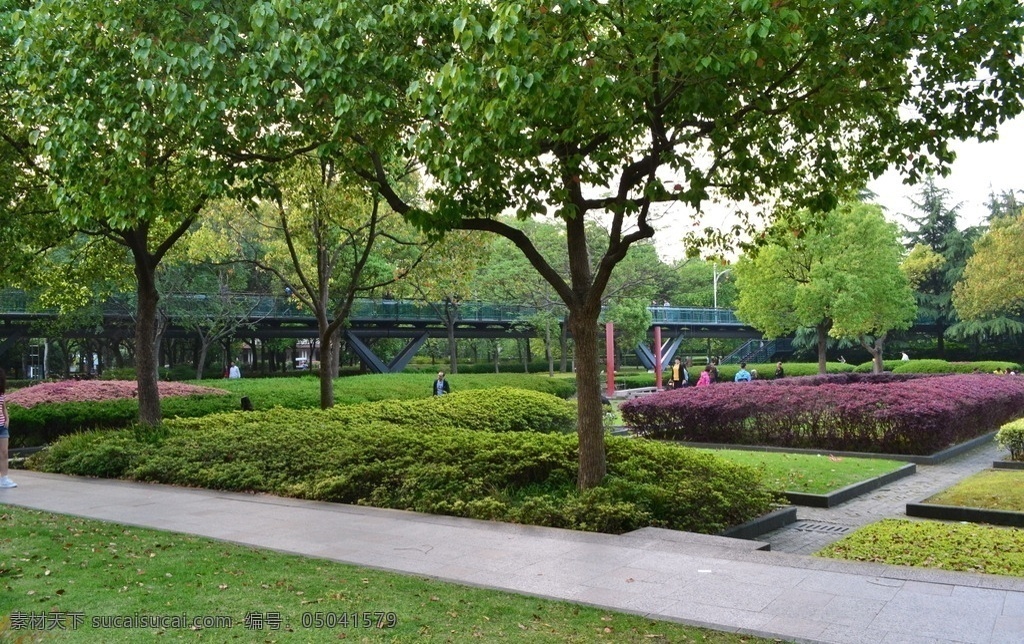 公园绿化 绿色 公园 游客 树木 徐汇 小路 木桥 绿化 自然景观 自然风景
