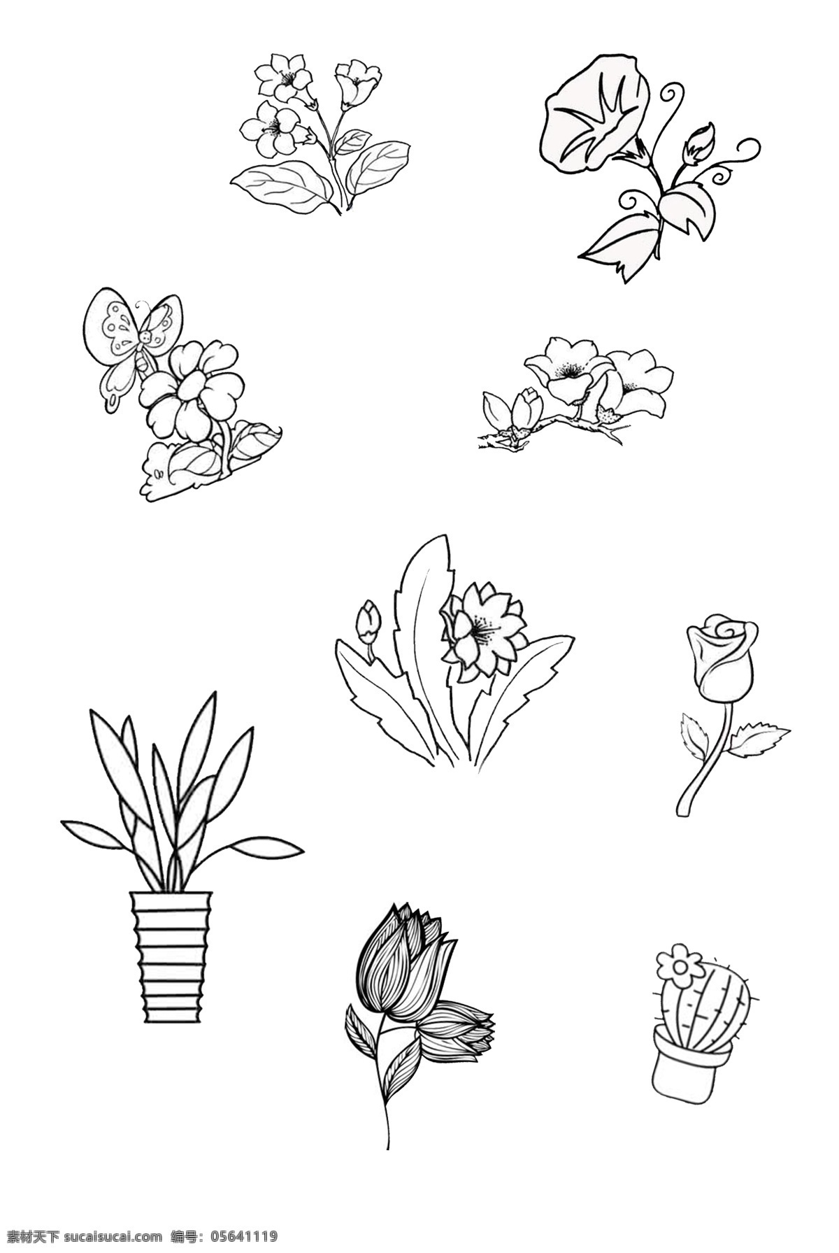 花卉 线 稿 线稿 单色 墙绘 植物 绿植 花朵 黑白