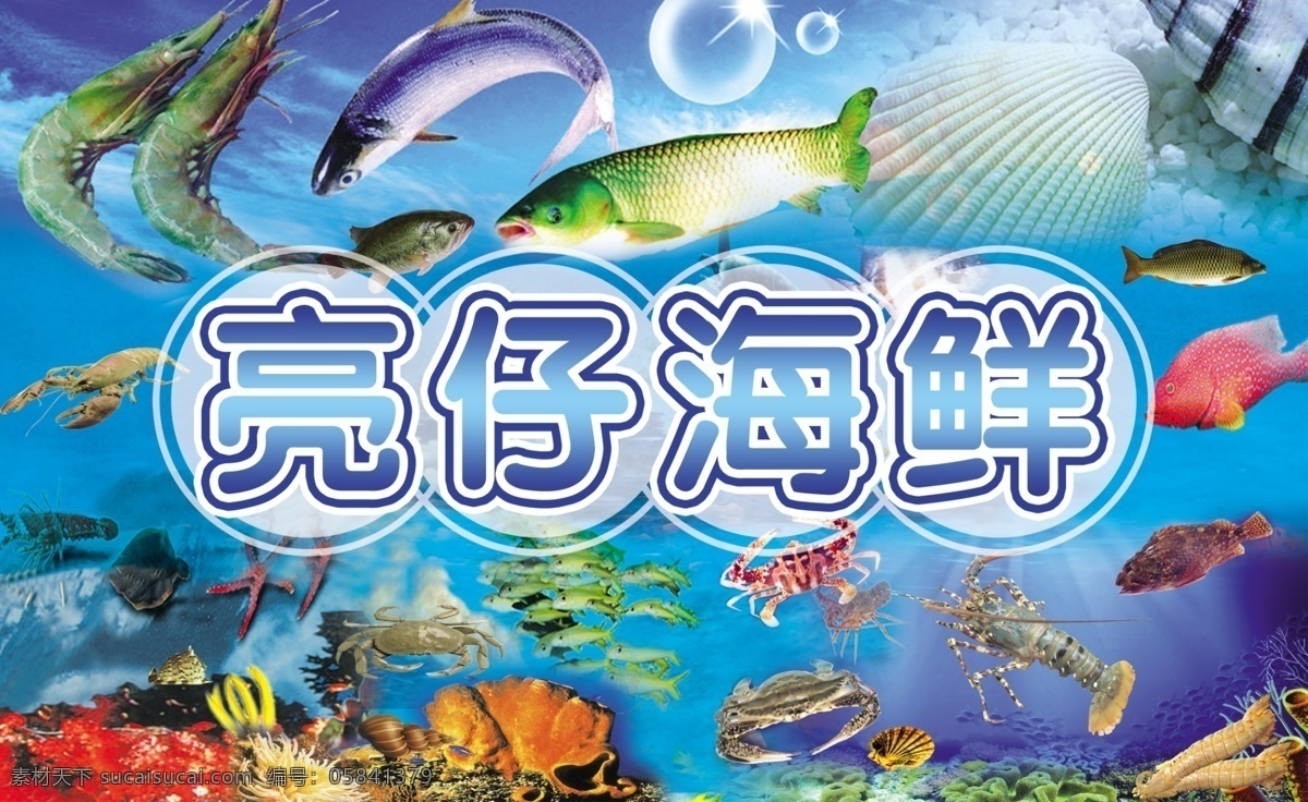 海鲜世界 鱼 虾 螃蟹 海星 龙虾 贝壳 海螺 珊瑚 分层 源文件