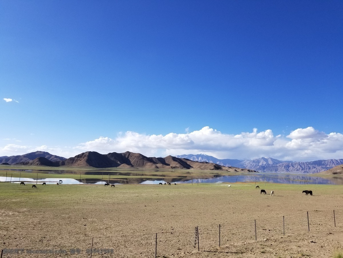 蓝天白云湖 山 水 湖 云 自然 景观 户外 旅游 湖泊 天空 蓝天白云 羊群 马 旅游摄影 自然风景