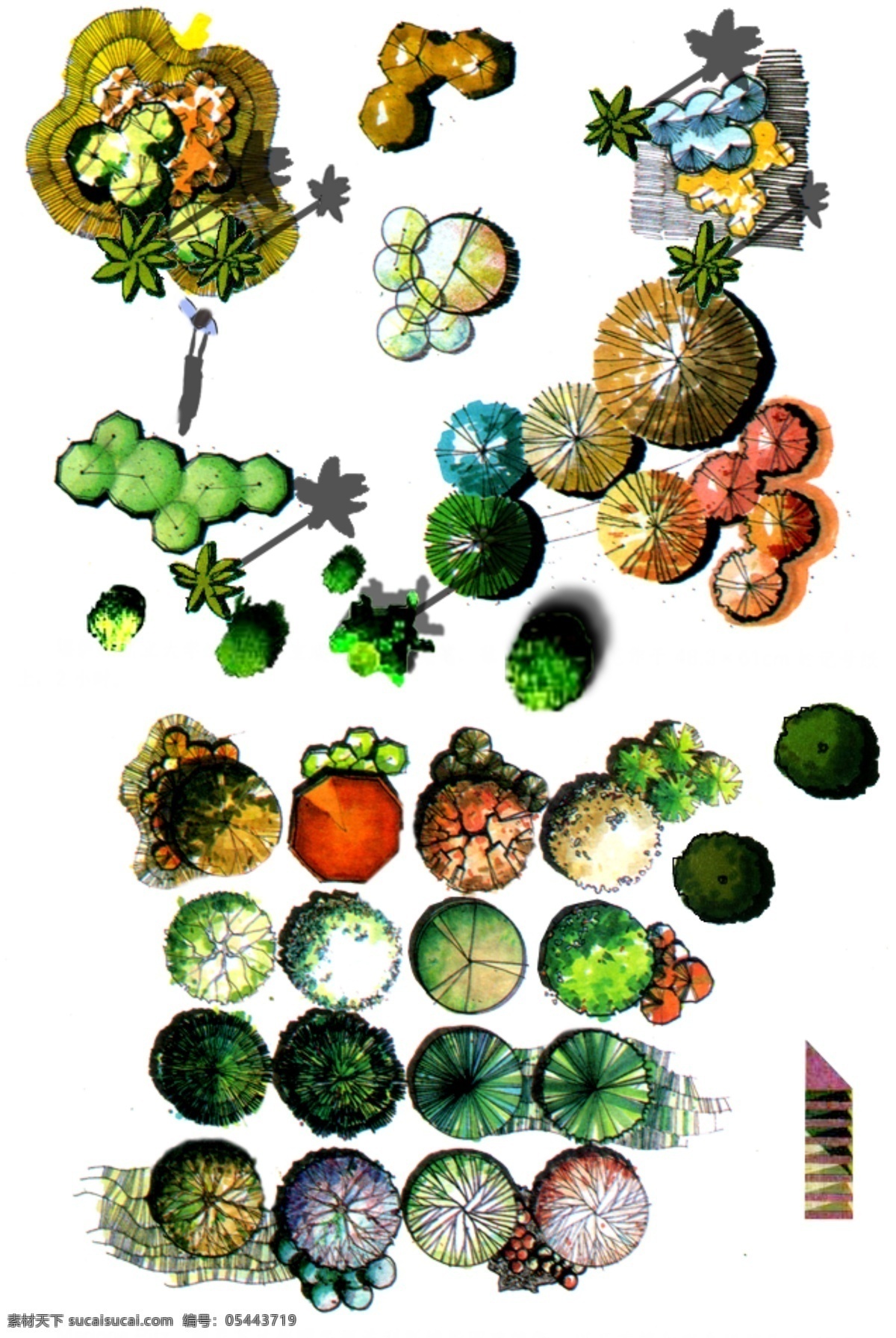 彩色 平面 手绘 园林 植物 环境设计 园林设计 源文件库