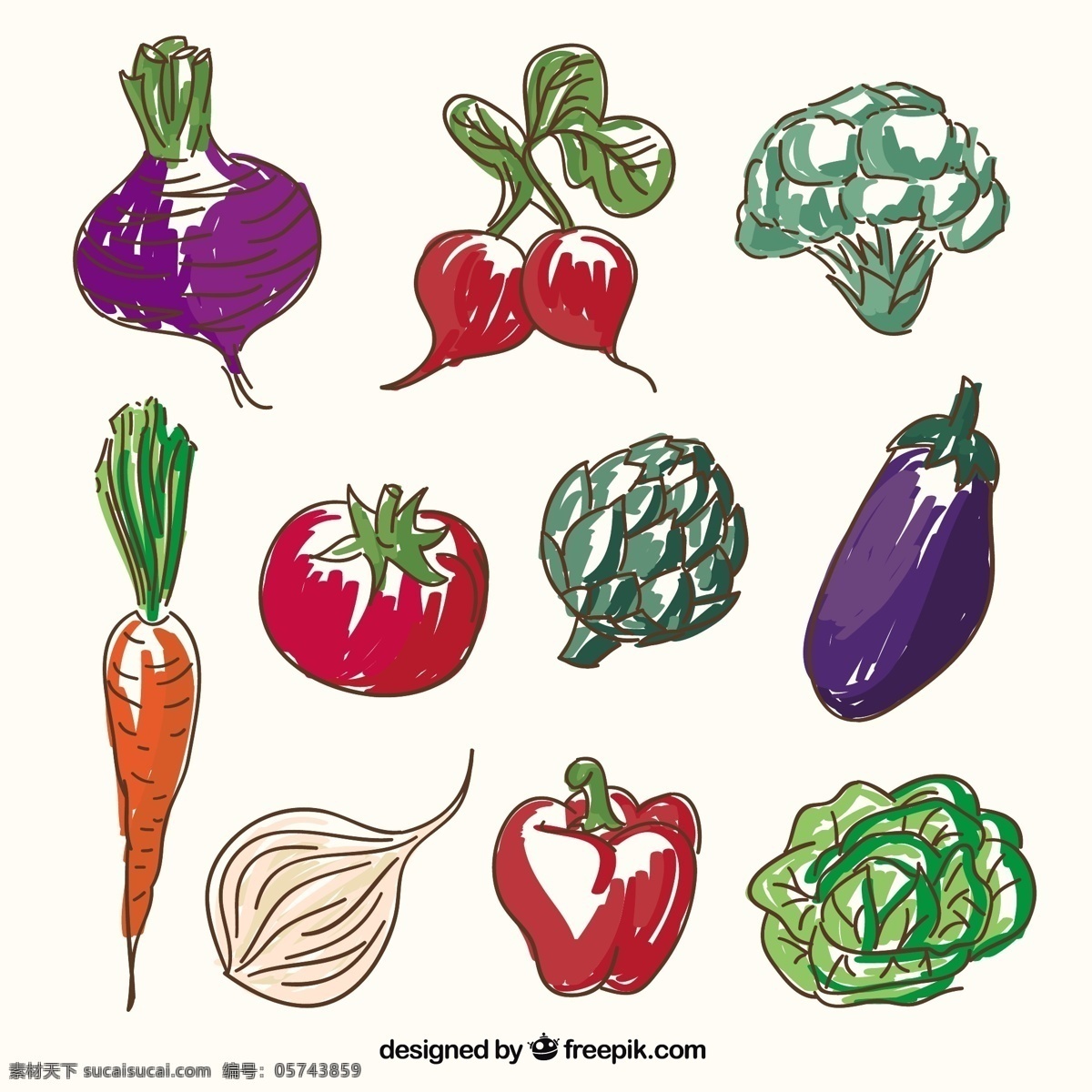 有机蔬菜图标 食品 卫生 蔬菜 有机 绘画 健康 番茄 辣椒 胡萝卜 生菜 粗略 西兰花 萝卜 茄子