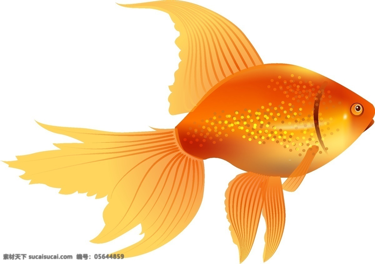 矢量 金鱼 精美图片 金鱼图片素材 金鱼缸 观赏鱼 矢量图 其他矢量图