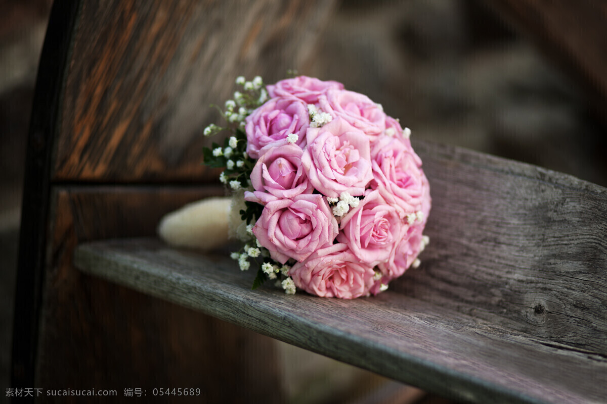 美丽 玫瑰 花束 玫瑰花 美丽鲜花 花卉 美丽花朵 婚礼花朵 婚礼鲜花 节日庆典 生活百科