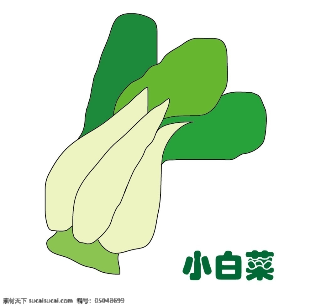 小白菜 白菜 蔬菜 健康 品种 生活百科 餐饮美食