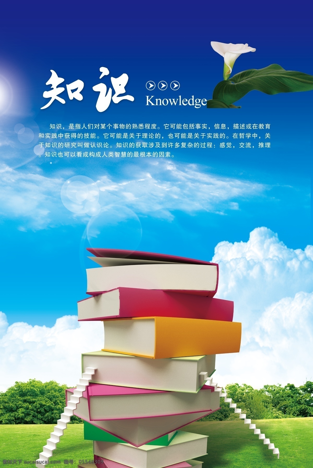 知识 书本 读书 读书卡 学习 蓝天