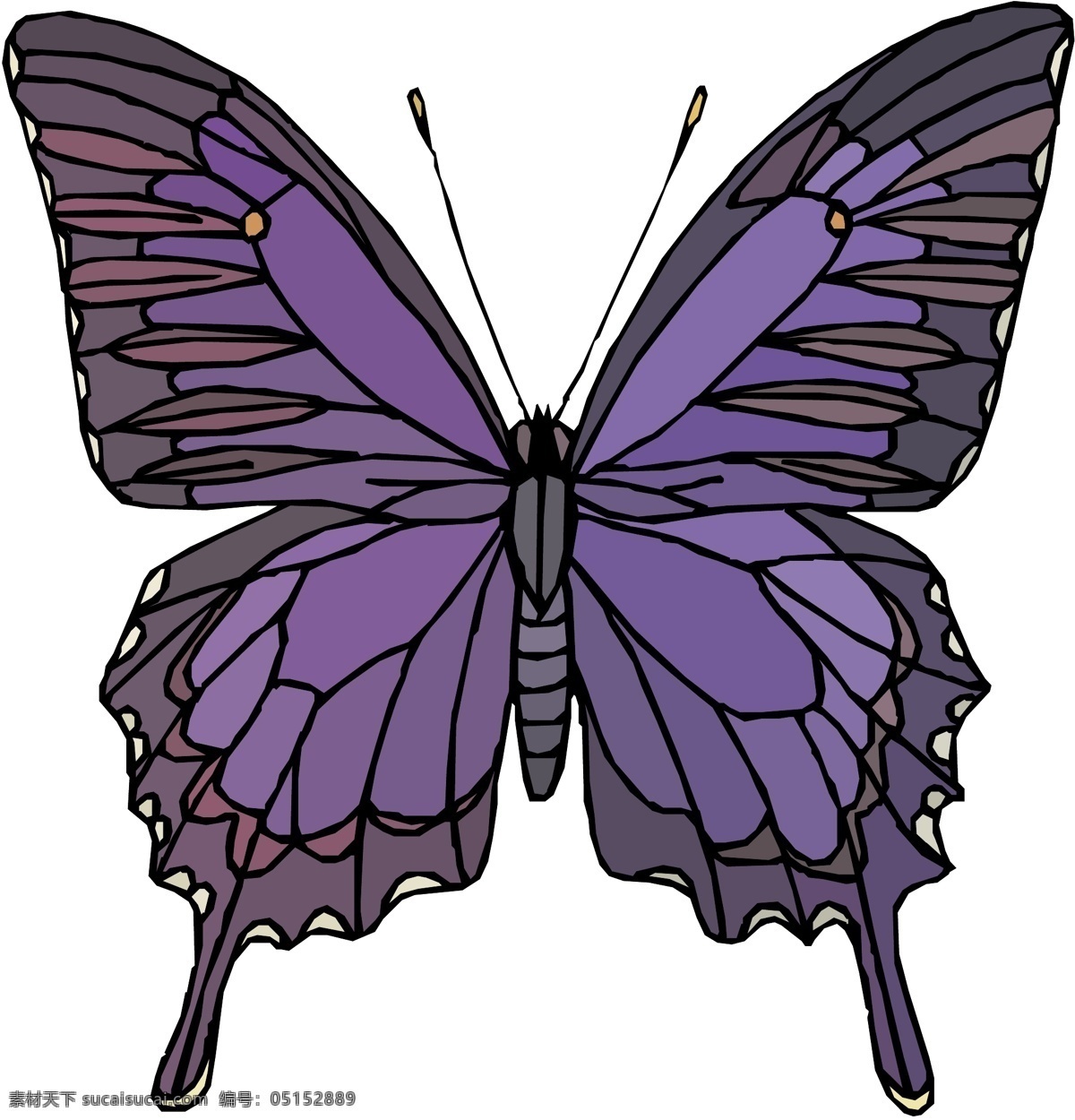 五彩蝴蝶 矢量素材 格式 eps格式 设计素材 昆虫世界 矢量动物 矢量图库 白色