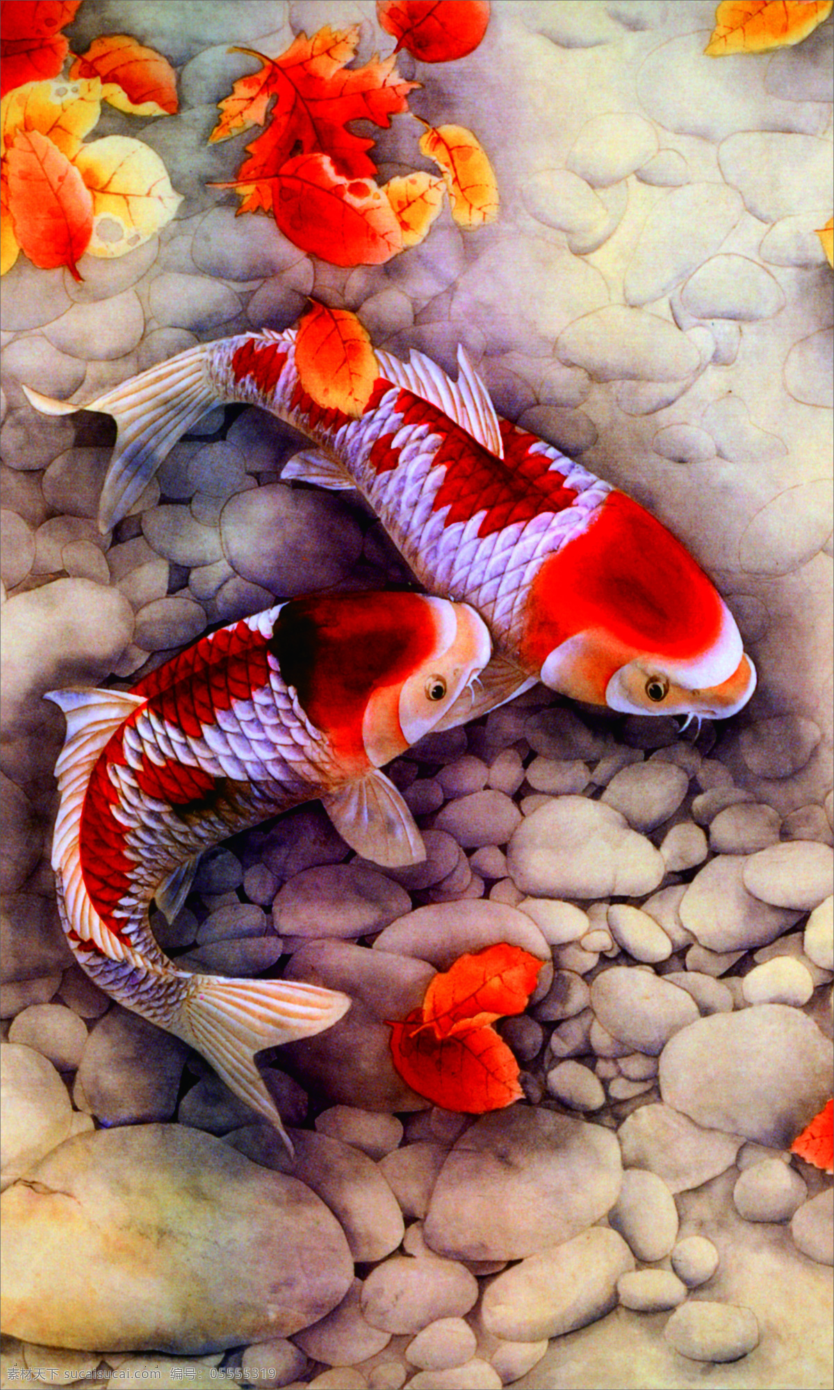 锦鲤 图 玄关 背景 鲤鱼 锦鲤鱼 锂鱼 红色 白色 水 游 食物 鱼类 生物世界 黄色感兴趣
