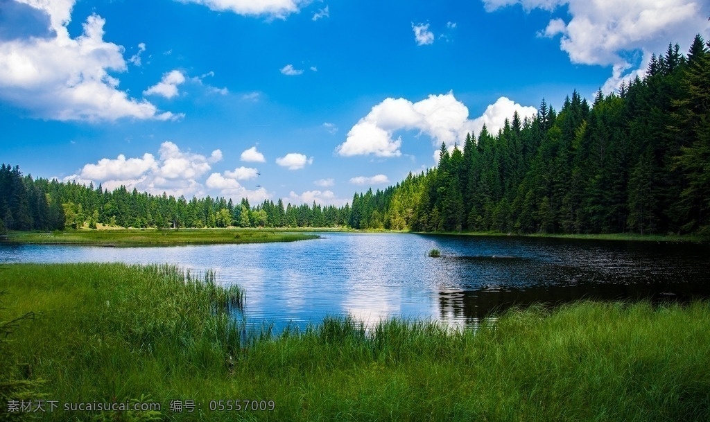 湖泊 湖水 山水 山水美景 自然美景 山野 森林 蓝天 白云 自然风景 田园 自然景观 山水风景