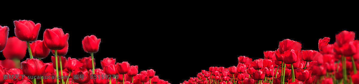 浪漫 红色 花海 元素 手绘 红色花朵 玫瑰 免抠