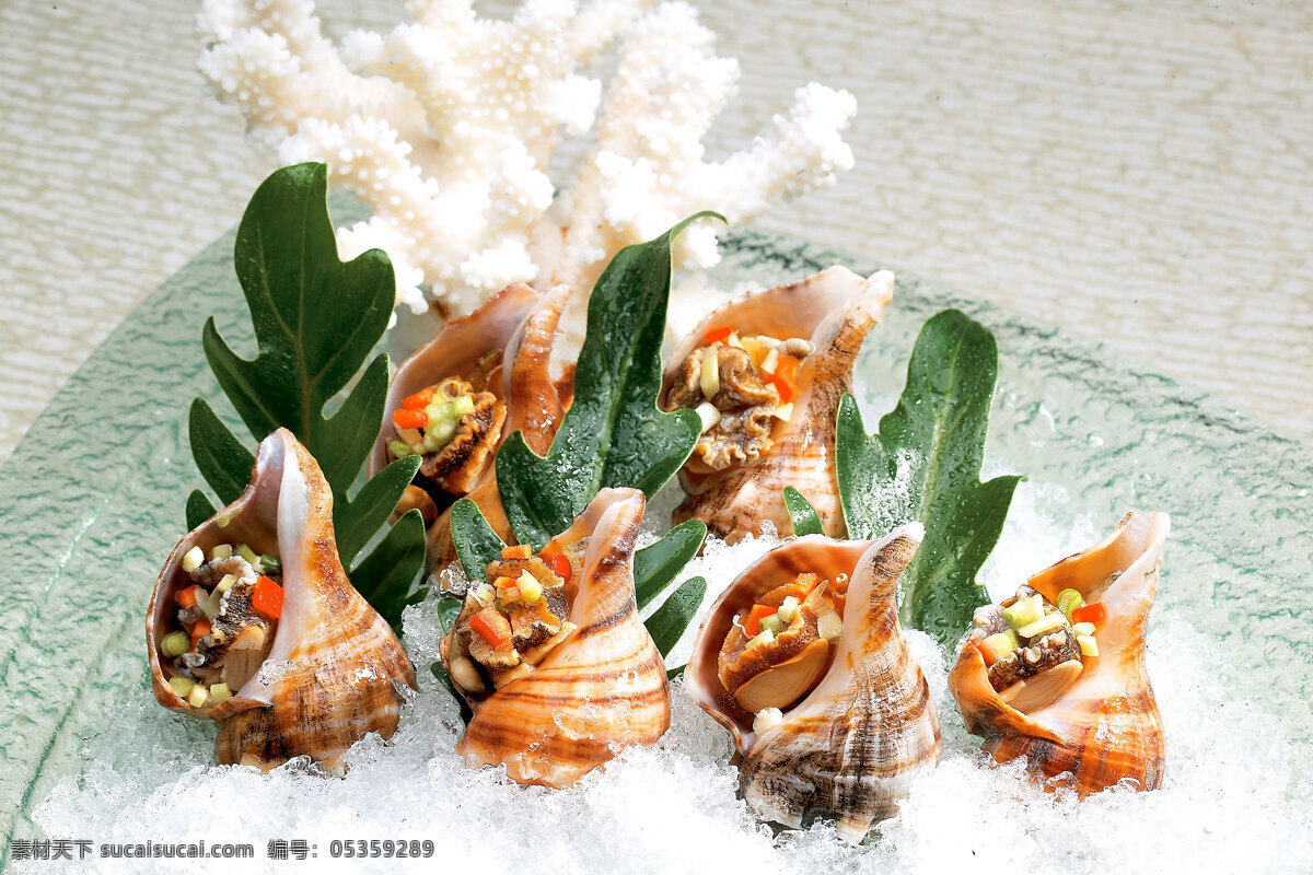 真味焗海螺 凉菜 餐饮图片 美食 粤菜 传统美食 餐饮美食