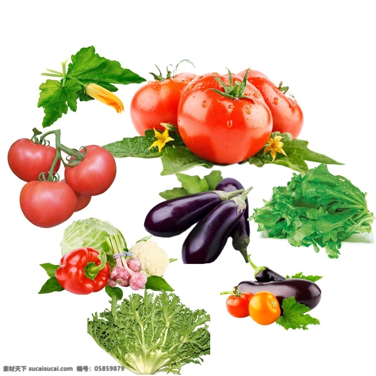 蔬菜水果 新鲜 扣好 水果蔬菜 番茄 茄子 生菜 新鲜水果蔬菜 带叶蔬菜 花菜 蔬菜素材 分层