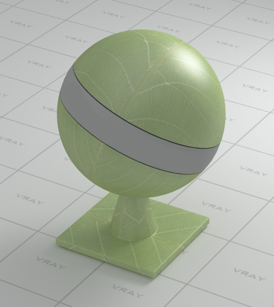树叶 模型 3d设计模型 max max9 绿色 源文件 植物 有贴图 vary 材质 球 材质球 3d模型素材 其他3d模型