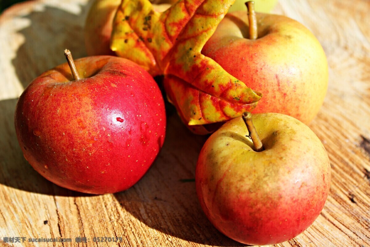 红色苹果 苹果 红色 秋季 水果 收获 维生素 健康