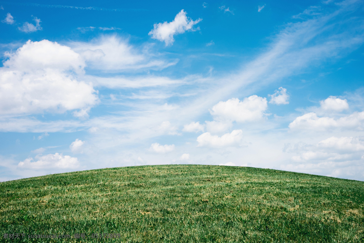 草原风景 草 草原 建筑 荷兰 欧美 大自然 蓝天 白云 动物 草地 自然景观 自然风景