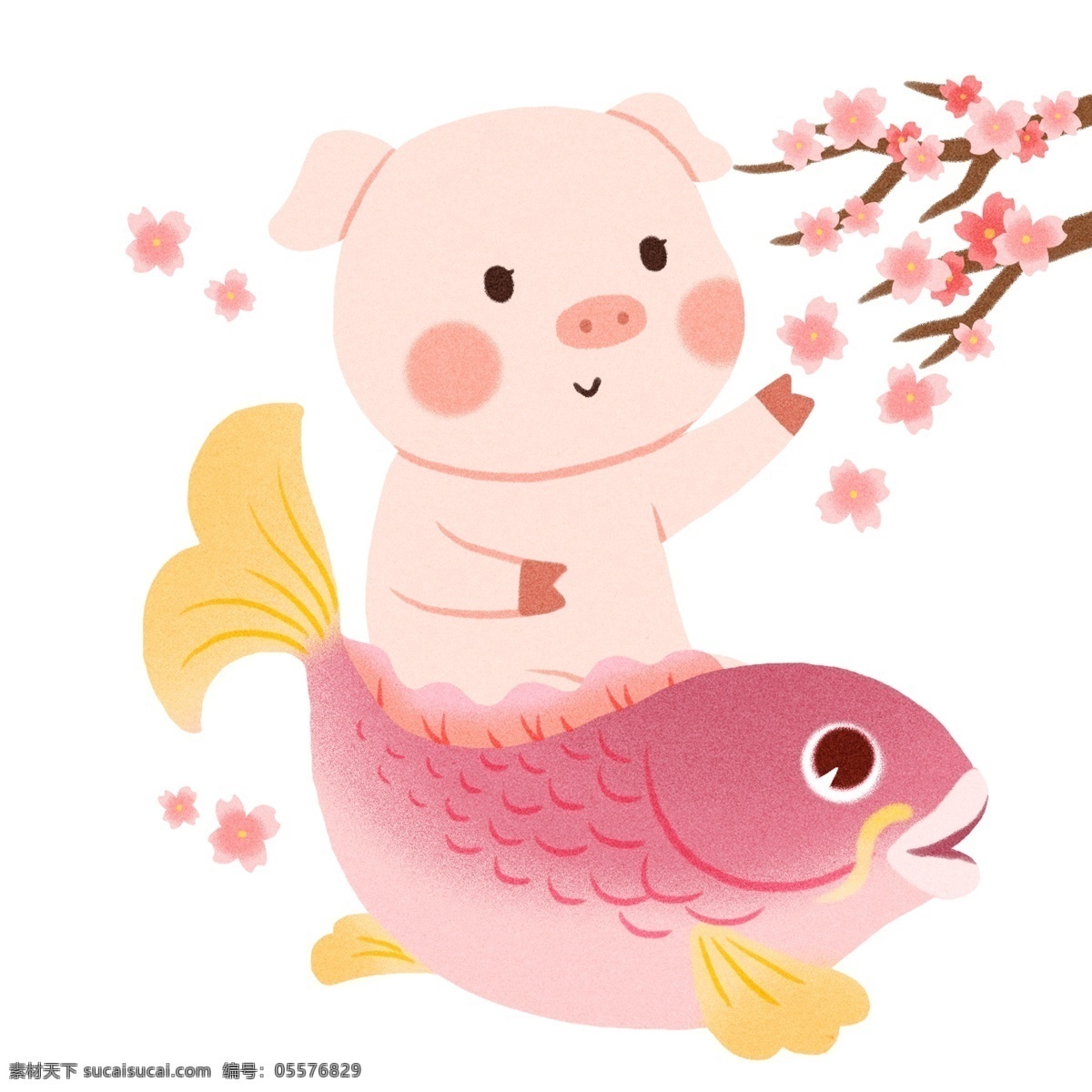 手绘 猪 锦鲤 插画 猪猪 粉红色花朵 花树枝 飘落的花瓣 红色锦鲤 可爱猪猪插画