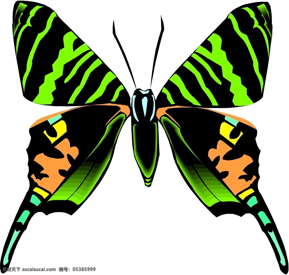 3d 昆虫 蝴蝶 昆虫矢量图 生物 世界 矢量 矢量图 其他矢量图