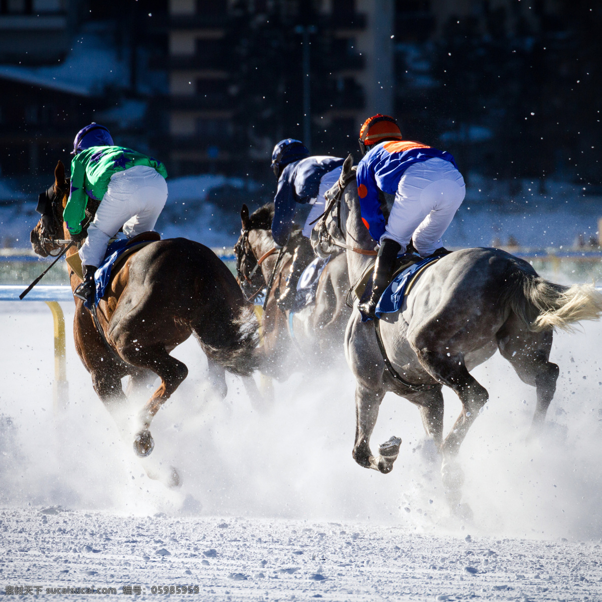 雪地 里 赛马 运动员 马 运动 冬天 体育运动 生活百科