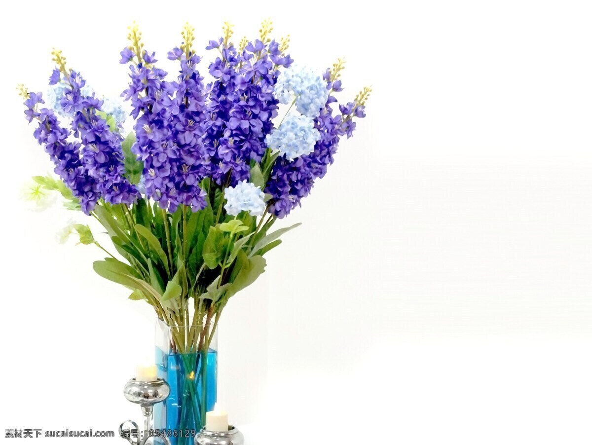 花瓶 里 紫色 风信子 植物 唯美 花朵 生物世界 花草