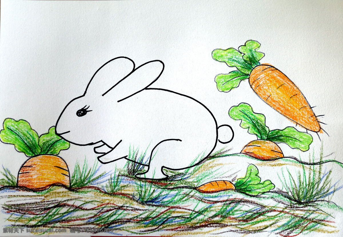 小 白兔 胡萝卜 小白兔 兔子 儿童画 手绘 卡通 油画棒 文化艺术 美术绘画